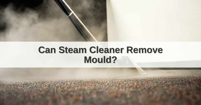 Can Steam Cleaner Remove Mould?