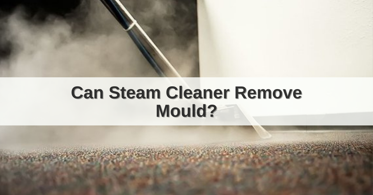 can-steam-cleaner-remove-mould-a-complete-guide