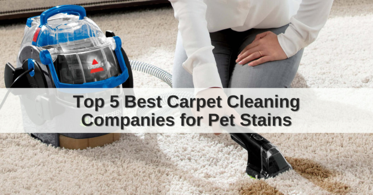 best carpet cleaning companies for pet stains