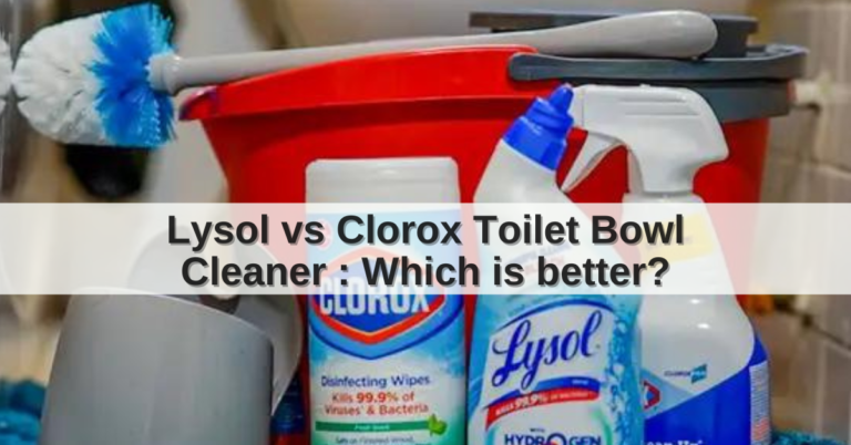 Lysol vs Clorox Toilet Bowl Cleaner