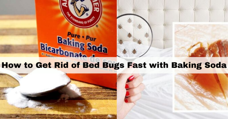 How to Get Rid of Bed Bugs Fast with Baking Soda