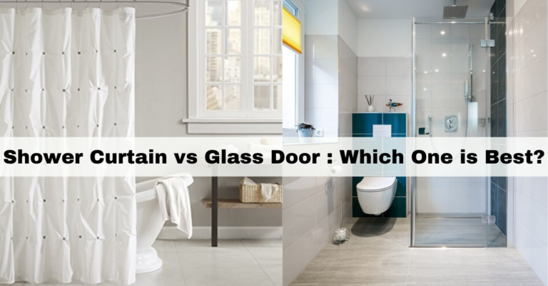 Shower Curtain vs Glass Door