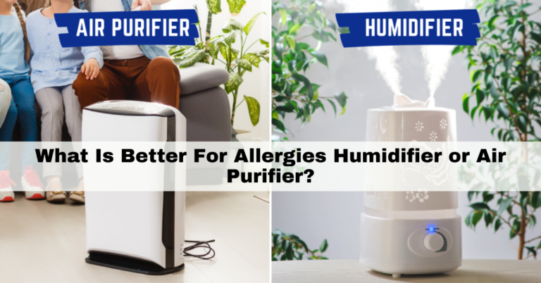 What Is Better For Allergies Humidifier or Air Purifier?