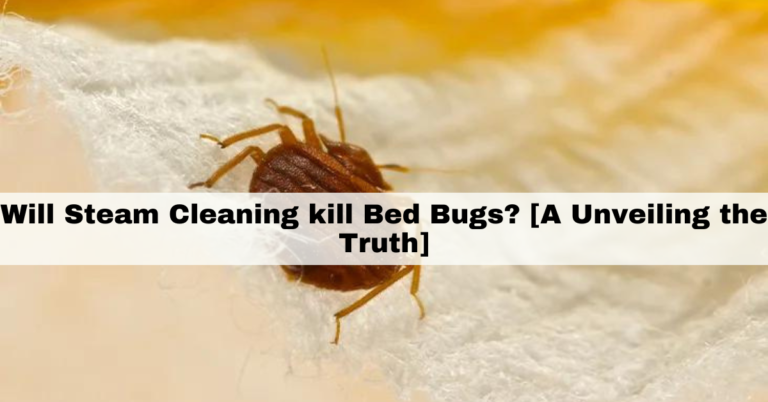 will steam cleaning kill bed bugs